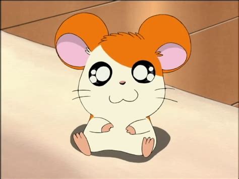 Category:Episode Images .